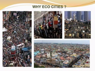 Urban Ecology: Balancing Biodiversity and Urban Development for ...