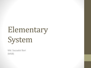 Elementary
System
Md. Sazzadul Bari
(MSB)
 