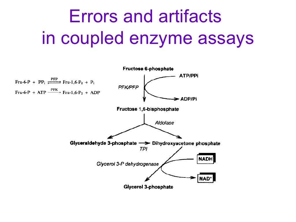 Lecture 1 enzyme assays nov02 2007