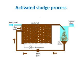 Activated sludge process
 