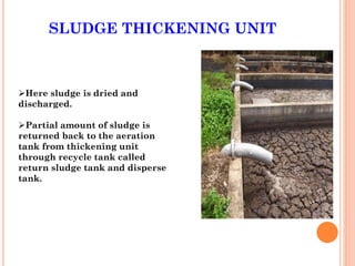 SLUDGE THICKENING UNIT
Here sludge is dried and
discharged.
Partial amount of sludge is
returned back to the aeration
tank from thickening unit
through recycle tank called
return sludge tank and disperse
tank.
 