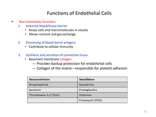 Functions of Endothelial Cells 
 
Non-hemostatic functions 
1. 
Selective blood/tissue barrier 
• 
Keeps cells and macromolecules in vessels 
• 
Allows nutrient and gas exchange 
2. 
Processing of blood-borne antigens 
• 
Contribute to cellular immunity 
3. 
Synthesis and secretion of connective tissue 
• 
Basement membrane collagen 
– 
Provides backup protection for endothelial cells 
– 
Collagen of the matrix—responsible for platelet adhesion 10 
 