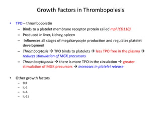 Growth Factors in Thrombopoiesis 
• 
TPO – thrombopoietin 
– 
Binds to a platelet membrane receptor protein called mpl (CD110) 
– 
Produced in liver, kidney, spleen 
– 
Influences all stages of megakaryocyte production and regulates platelet development 
– 
Thrombocytosis  TPO binds to platelets  less TPO free in the plasma  reduces stimulation of MGK precursors 
– 
Thrombocytopenia  there is more TPO in the circulation  greater stimulation of MGK precursors  increases in platelet release 
• 
Other growth factors 
– 
SCF 
– 
IL-3 
– 
IL-6 
– 
IL-11  