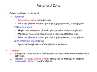 Peripheral Zone 
• 
Outer-most layer consisting of 
– 
Glycocalyx 
• 
Amorphous, spongy exterior coat 
• 
Adsorbed plasma proteins, glycolipids, glycoproteins, proteoglycans 
– 
Protein membrane 
• 
Bilipid layer composed of lipids, glycoproteins, and proteoglycans 
• 
Maintain cytoplasmic integrity and mediates platelet function 
• 
Adsorbed plasma proteins, glycolipids, glycoproteins, proteoglycans 
– 
Open canalicular system (OCS) 
• 
System of invaginations of the platelet membrane 
•Function 
1.Transports stored products from interior of the platelet to the exterior upon activation 
2.Provides increased surface area for absorption and storage of proteins (coagulation factors) from the plasma  