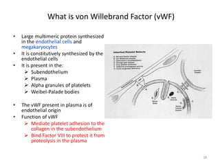What is von Willebrand Factor (vWF) 
• 
Large multimeric protein synthesized in the endothelial cells and megakaryocytes 
• 
It is constitutively synthesized by the endothelial cells 
• 
It is present in the: 
 
Subendothelium 
 
Plasma 
 
Alpha granules of platelets 
 
Weibel-Palade bodies 
• 
The vWF present in plasma is of endothelial origin 
• 
Function of vWF 
 
Mediate platelet adhesion to the collagen in the subendothelium 
 
Bind Factor VIII to protect it from proteolysis in the plasma 28 
 