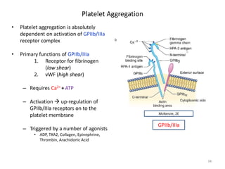 Platelet Aggregation 
• 
Platelet aggregation is absolutely dependent on activation of GPIIb/IIIa receptor complex 
• 
Primary functions of GPIIb/IIIa 
1. 
Receptor for fibrinogen (low shear) 
2. 
vWF (high shear) 
– 
Requires Ca2+ + ATP 
– 
Activation  up-regulation of GPIIb/IIIa receptors on to the platelet membrane 
– 
Triggered by a number of agonists 
• 
ADP, TXA2, Collagen, Epinephrine, Thrombin, Arachidonic Acid 34 
McKenzie, 2E 
GPIIb/IIIa  