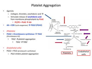 Platelet Aggregation 
• 
Agonists 
– 
Collagen, thrombin, arachidonic acid  
– 
Stimulate release of arachidonic acid from membrane phospholipids by PLA2 
• 
PC/PE + PLA2  AA 
• 
AA + COX (cyclo-oxygenase)  PGG2 (PGH2) 
• 
(Platelets) 
• 
PGG2 + thromboxane synthetase  TXA2 (thromboxane A2) 
• 
TXA2  platelet aggregation 
• 
TXA2  TXB2 
• 
(Endothelial cells) 
• 
PGG2 + PGI2 (prostacyclin synthetase) 
– 
PGI2 inhibits platelet aggregation 
Platelets 
Endothelial cells  