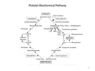 Platelet Biochemical Pathway 37 
 