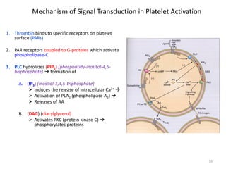 Mechanism of Signal Transduction in Platelet Activation 
1. 
Thrombin binds to specific receptors on platelet surface (PARs) 
2. 
PAR receptors coupled to G-proteins which activate phospholipase-C 
3. 
PLC hydrolyzes (PIP2) [phosphatidy-inositol-4,5- bisphosphate]  formation of 
A. 
(IP3) [inositol-1,4,5-triphosphate] 
 
Induces the release of intracellular Ca2+  
 
Activation of PLA2 (phospholipase A2)  
 
Releases of AA 
B. 
(DAG) (diacylglycerol) 
 
Activates PKC (protein kinase C)  phosphorylates proteins 
39 
 