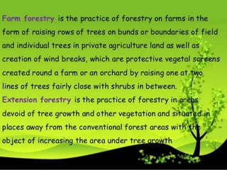 Notes Forestry Lesson Introduction to forestry | PPTX