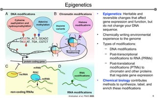 Lecture 1 Genomics and epigenetics (1).pptx