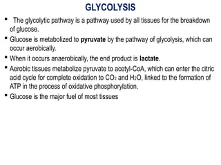 GLYCOLYSIS
 The glycolytic pathway is a pathway used by all tissues for the breakdown
of glucose.
 Glucose is metabolized to pyruvate by the pathway of glycolysis, which can
occur aerobically.
 When it occurs anaerobically, the end product is lactate.
 Aerobic tissues metabolize pyruvate to acetyl-CoA, which can enter the citric
acid cycle for complete oxidation to CO2 and H2O, linked to the formation of
ATP in the process of oxidative phosphorylation.
 Glucose is the major fuel of most tissues
 