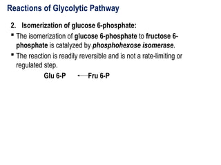 Reactions of Glycolytic Pathway
2. Isomerization of glucose 6-phosphate:
 The isomerization of glucose 6-phosphate to fructose 6-
phosphate is catalyzed by phosphohexose isomerase.
 The reaction is readily reversible and is not a rate-limiting or
regulated step.
Glu 6-P Fru 6-P
 