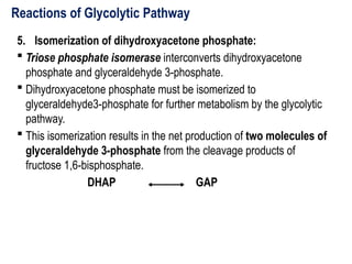 Reactions of Glycolytic Pathway
5. Isomerization of dihydroxyacetone phosphate:
 Triose phosphate isomerase interconverts dihydroxyacetone
phosphate and glyceraldehyde 3-phosphate.
 Dihydroxyacetone phosphate must be isomerized to
glyceraldehyde3-phosphate for further metabolism by the glycolytic
pathway.
 This isomerization results in the net production of two molecules of
glyceraldehyde 3-phosphate from the cleavage products of
fructose 1,6-bisphosphate.
DHAP GAP
 