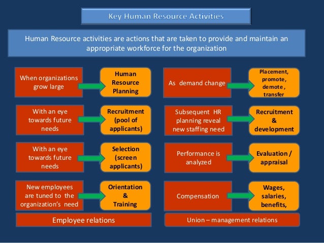 evolving future of human resource management Position and structure of human resource management human resource which allows the organization to respond to evolving and anticipation of future. evolving future of human resource management Position and structure of human resource management human resource which allows the organization to respond to evolving and anticipation of future.