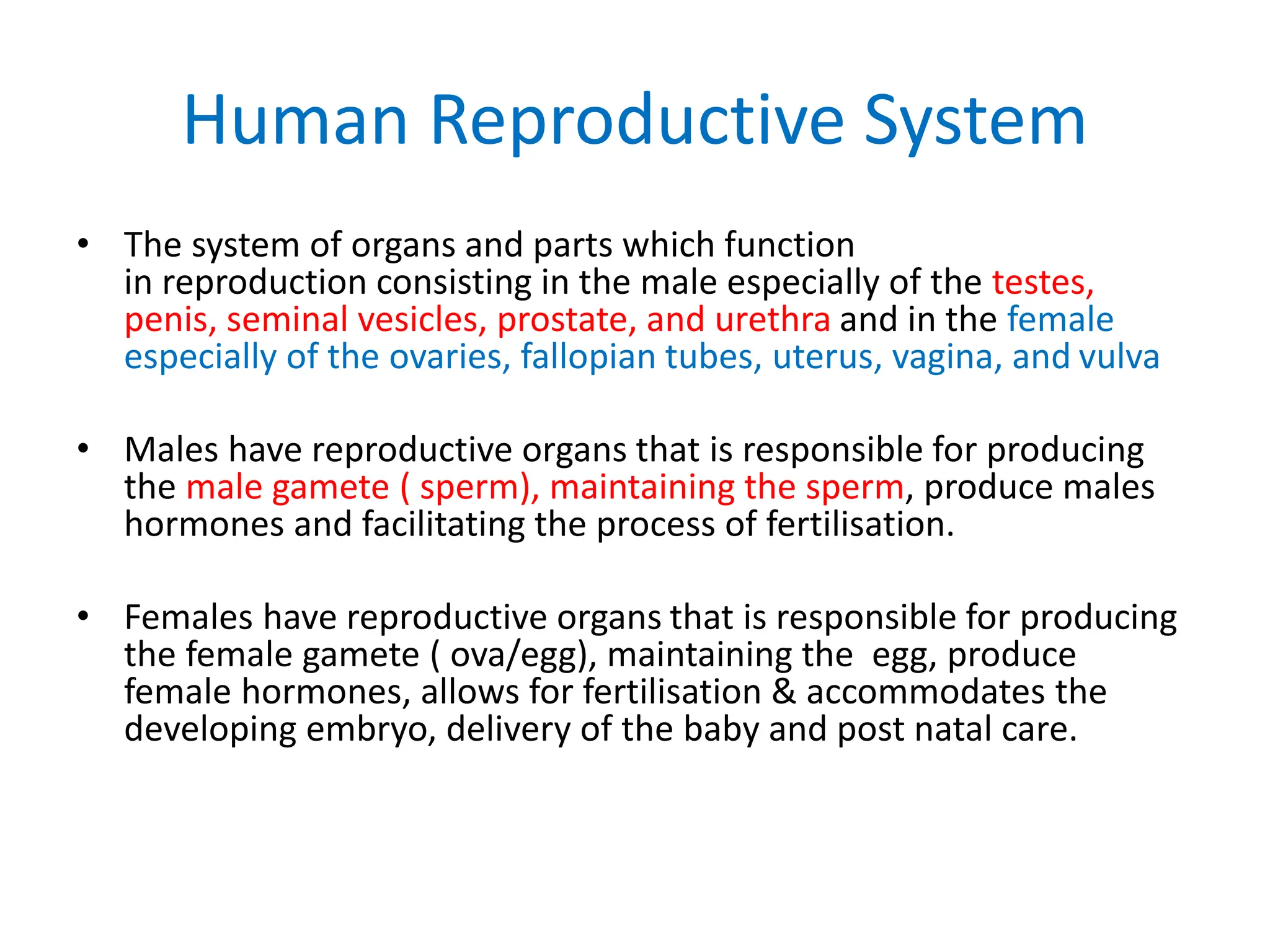 LECTURE 1 Human Reproductive System.pptx