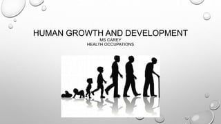 HUMAN GROWTH AND DEVELOPMENT
MS CAREY
HEALTH OCCUPATIONS
 