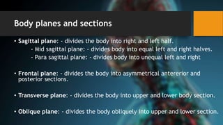 Halves Body Part human anatomy lecture 1 intro | PPTX