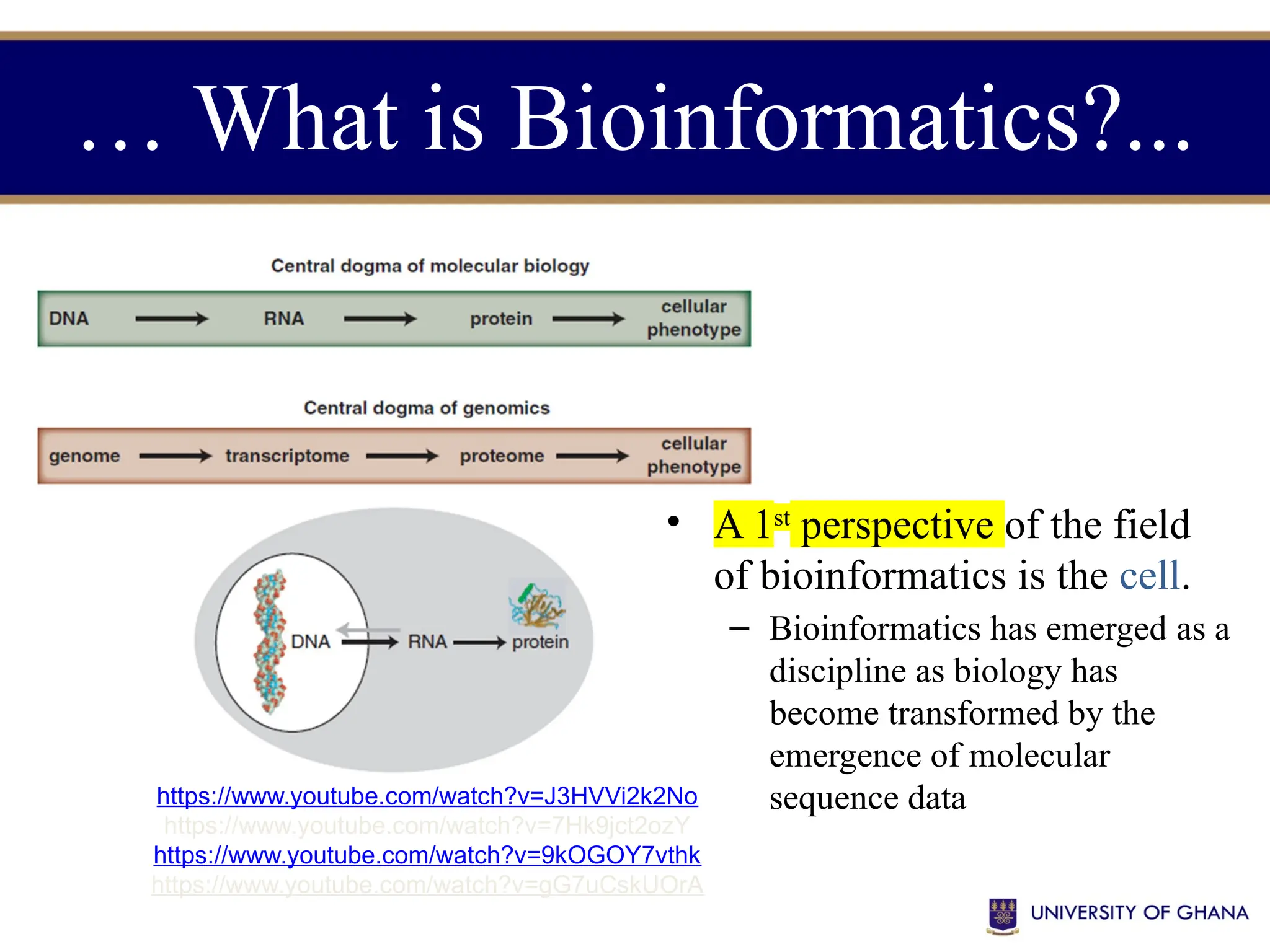 … What is Bioinformatics?...
https://www.youtube.com/watch?v=J3HVVi2k2No
https://www.youtube.com/watch?v=7Hk9jct2ozY
https://www.youtube.com/watch?v=9kOGOY7vthk
https://www.youtube.com/watch?v=gG7uCskUOrA
• A 1st
perspective of the field
of bioinformatics is the cell.
– Bioinformatics has emerged as a
discipline as biology has
become transformed by the
emergence of molecular
sequence data
 