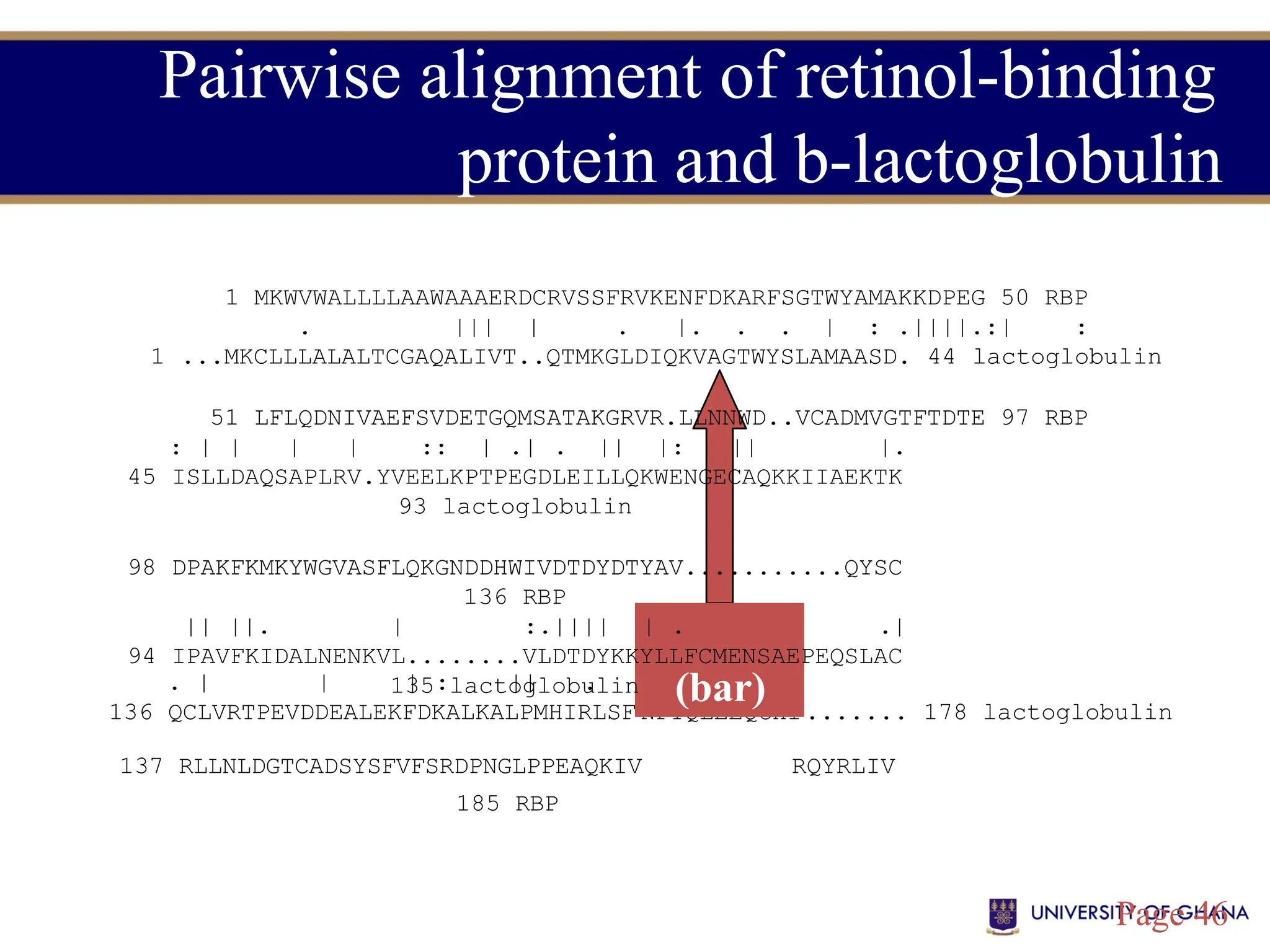 . | | | : || .
RQRQ.EELCLA
| || |
NPTQLEEQCHI
136 QCLVRTPEVDDEALEKFDKALKALPMHIRLSF ....... 178 lactoglobulin
Pairwise alignment of retinol-binding
protein and b-lactoglobulin
1 MKWVWALLLLAAWAAAERDCRVSSFRVKENFDKARFSGTWYAMAKKDPEG 50 RBP
. ||| | . |. . . | : .||||.:| :
1 ...MKCLLLALALTCGAQALIVT..QTMKGLDIQKVAGTWYSLAMAASD. 44 lactoglobulin
51 LFLQDNIVAEFSVDETGQMSATAKGRVR.LLNNWD..VCADMVGTFTDTE 97 RBP
: | | | | :: | .| . || |: || |.
45 ISLLDAQSAPLRV.YVEELKPTPEGDLEILLQKWENGECAQKKIIAEKTK
93 lactoglobulin
98 DPAKFKMKYWGVASFLQKGNDDHWIVDTDYDTYAV...........QYSC
136 RBP
|| ||. | :.|||| | . .|
94 IPAVFKIDALNENKVL........VLDTDYKKYLLFCMENSAEPEQSLAC
135 lactoglobulin
137 RLLNLDGTCADSYSFVFSRDPNGLPPEAQKIV Identity RQYRLIV
185 RBP
Page 46
(bar)
 