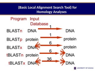 BLASTn
BLASTp
BLASTx
DNA
protein
DNA
1
1
6
6
36
tBLASTn protein
tBLASTx DNA
DNA
protein
protein
DNA
DNA
(Basic Local Alignment Search Tool) for
Homology Analyses
Program Input
Database
 