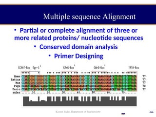 • Partial or complete alignment of three or
more related proteins/ nucleotide sequences
• Conserved domain analysis
• Primer Designing
Kusum Yadav, Department of Biochemistry
Multiple sequence Alignment
 