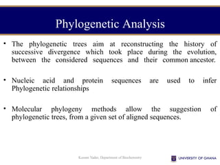 Kusum Yadav, Department of Biochemistry
• The phylogenetic trees aim at reconstructing the history of
successive divergence which took place during the evolution,
between the considered sequences and their common ancestor.
• Nucleic acid and protein sequences are used to infer
Phylogenetic relationships
• Molecular phylogeny methods allow the suggestion of
phylogenetic trees, from a given set of aligned sequences.
Phylogenetic Analysis
 