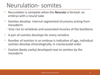 Comprehensive Introduction to Embryology and Histology: Fertilization ...