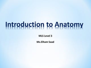 MLS Level 3
Ms.Elham Saad
 