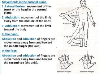 Movements in the coronal plane:
1. Lateral flexion: movement of the
trunk or the head in the coronal
plane.
2. Abduction: movement of the limb
away from the midline of the body.
3. Adduction: movement of the limb
toward the body.
In the hand:
Abduction and adduction of fingers are
movements away from and toward
the middle finger (the axis).
In the foot:
Abduction and adduction of fingers are
movements away from and toward
the second toe (the axis).
 