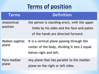 Terms Definition
Anatomical
position
the person is standing erect, with the upper
limbs by his sides and the face and palms
of the hands are directed forward.
Median sagittal
plane
It is a vertical plane passing through the
center of the body, dividing it into 2 equal
halves right and left.
Para median
plane
Any plane that lies parallel to the median
plane on the right or left sides.
 