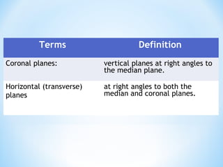 Terms Definition
Coronal planes: vertical planes at right angles to
the median plane.
Horizontal (transverse)
planes
at right angles to both the
median and coronal planes.
 