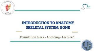 INTRODUCTION TO ANATOMY
SKELETAL SYSTEM: BONE
Foundation block - Anatomy - Lecture 1
 