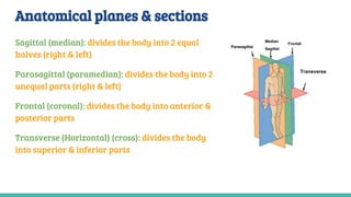 Halves Body Part Lecture (1) INTRODUCTION TO ANATOMY SKELETAL SYSTEM_ BONE .pdf