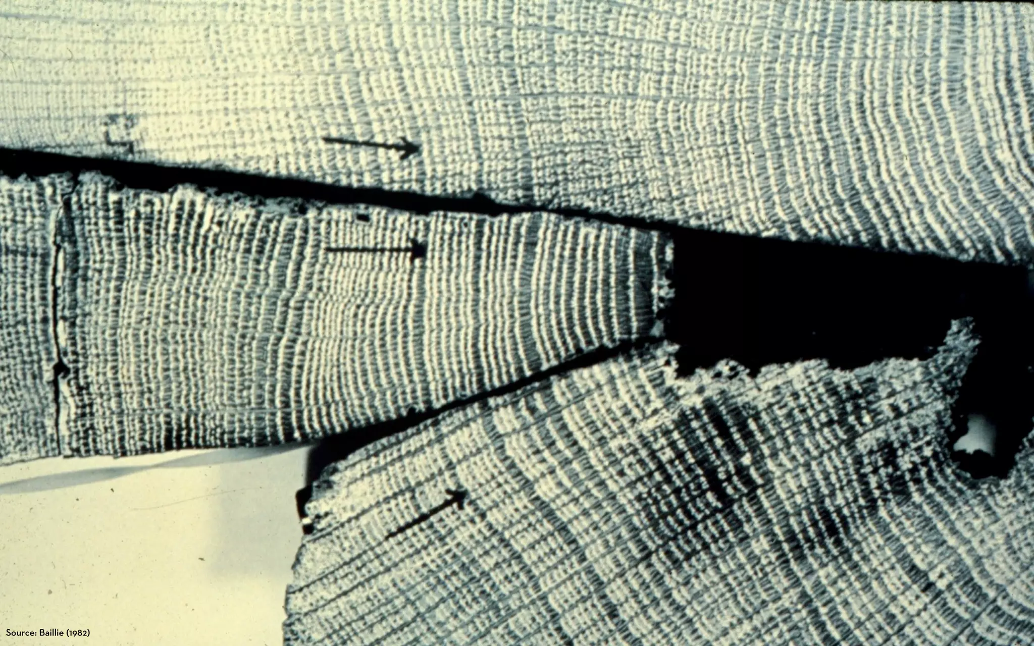 Source: Baillie (1982)
 