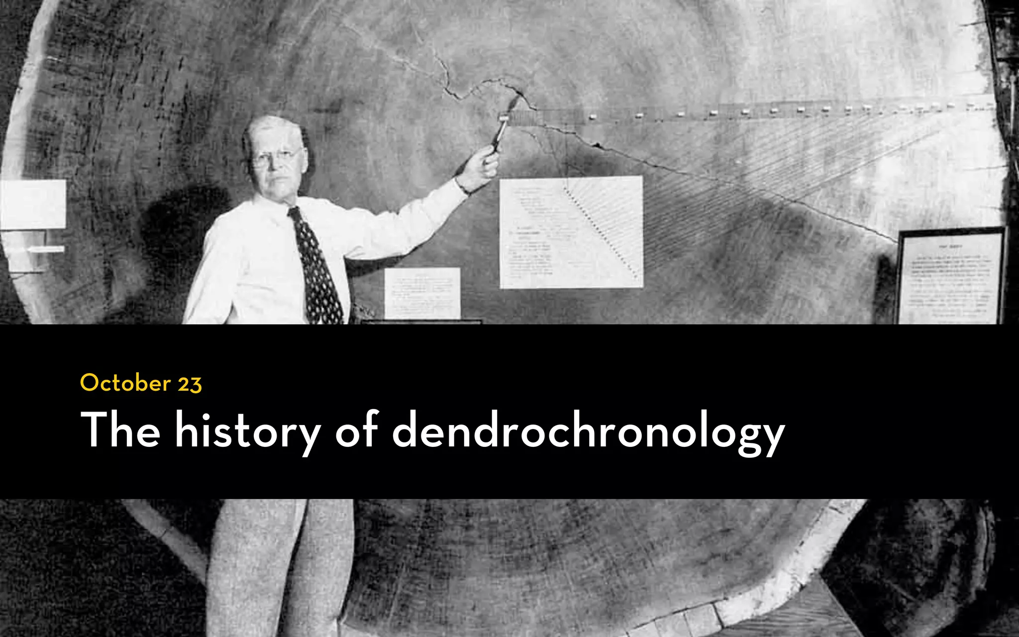 October 23

The history of dendrochronology
 