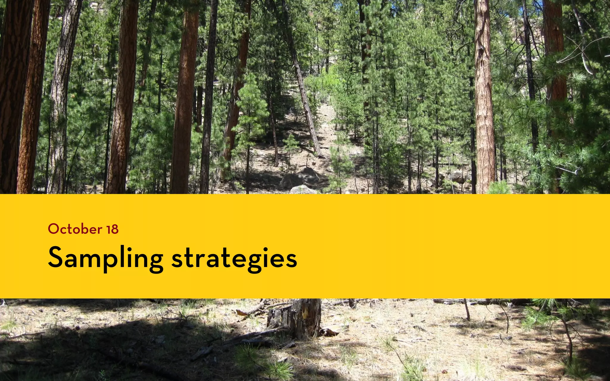 October 18

Sampling strategies
 