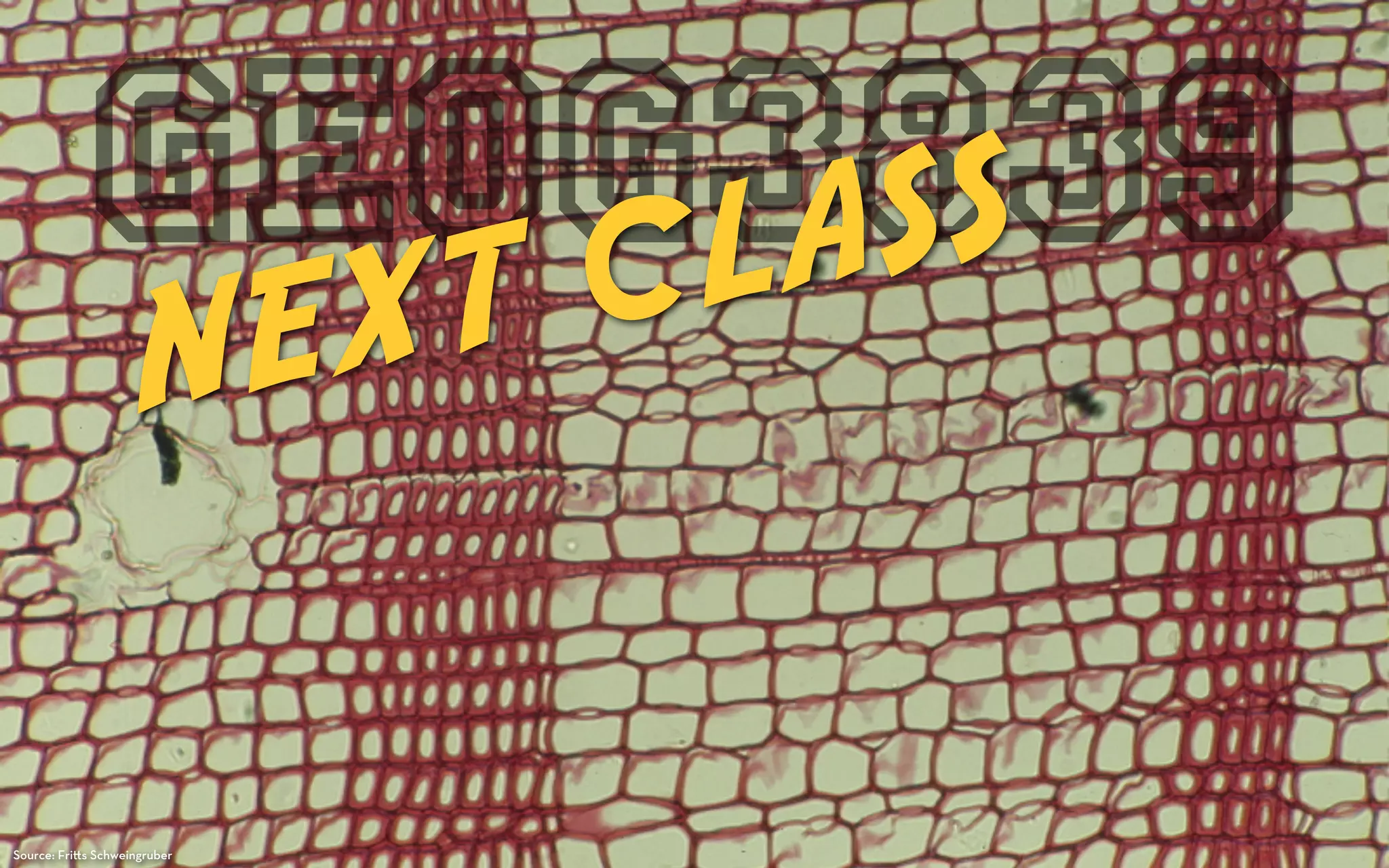 GEOG3839
              XT C L AS S
                      NE

Source: Fri s Schweingruber
 