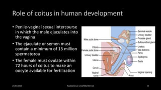LECTURE 1 Introduction To Embryology 2023 HB2 Lecture 1 pdf LECTURE 1 Introduction To Embryology 2023 HB2 Lecture 1 pdf