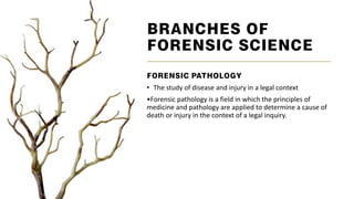 Introduction to Forensic Pathology course | PDF