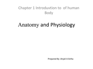 Anatomy and Physiology
Chapter 1 Introduvtion to of human
Body
Prepared By :Anjali A Sinha
 