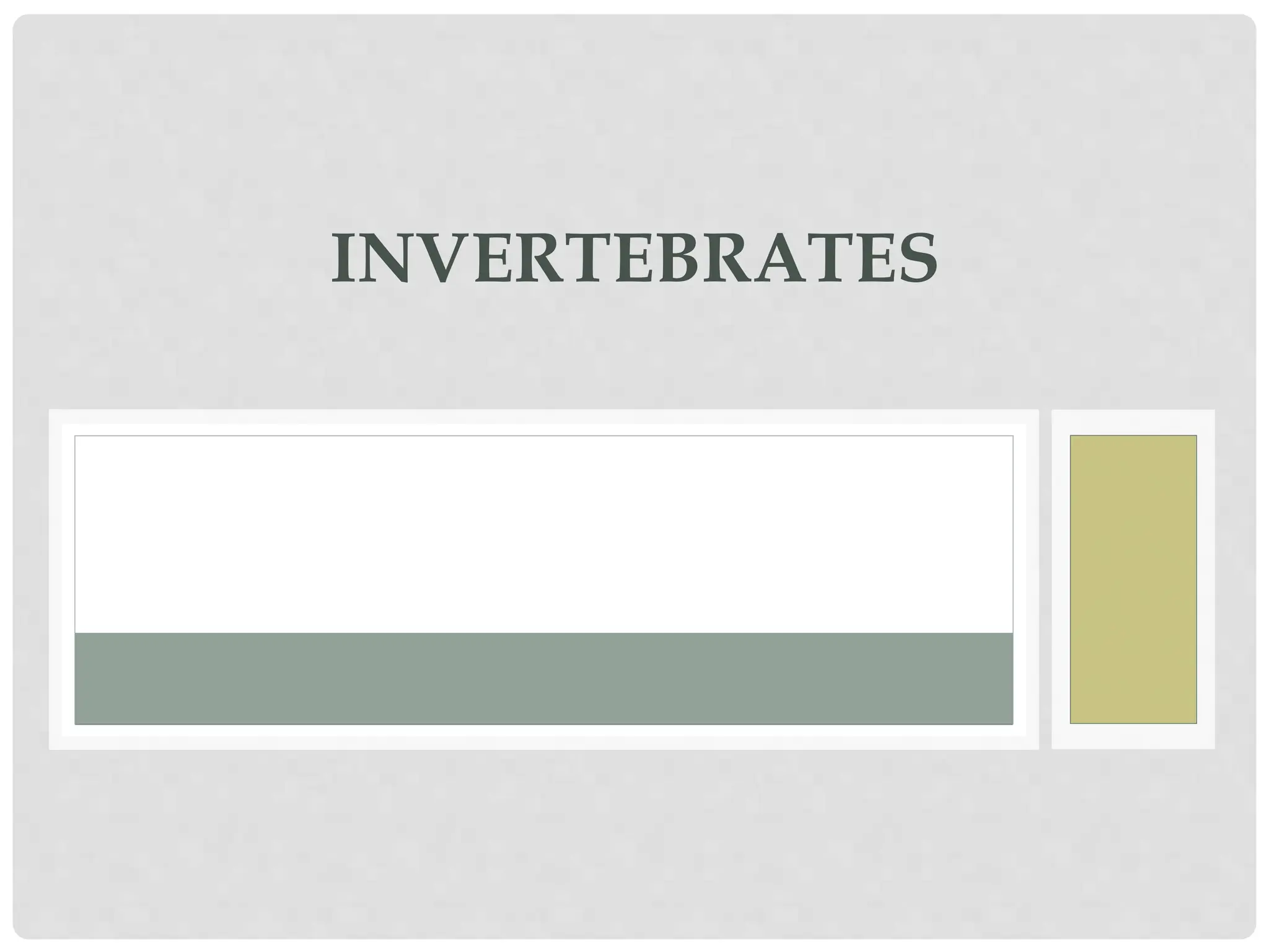 Lecture_1_Introduction_to_invertebrates_presentation.pptx