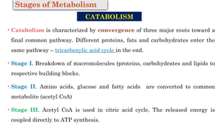 Introduction to Metabolism: Pathways, Energy, and Regulation | PPTX