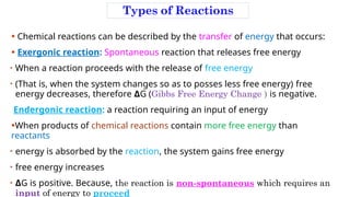 Introduction to Metabolism: Pathways, Energy, and Regulation | PPTX