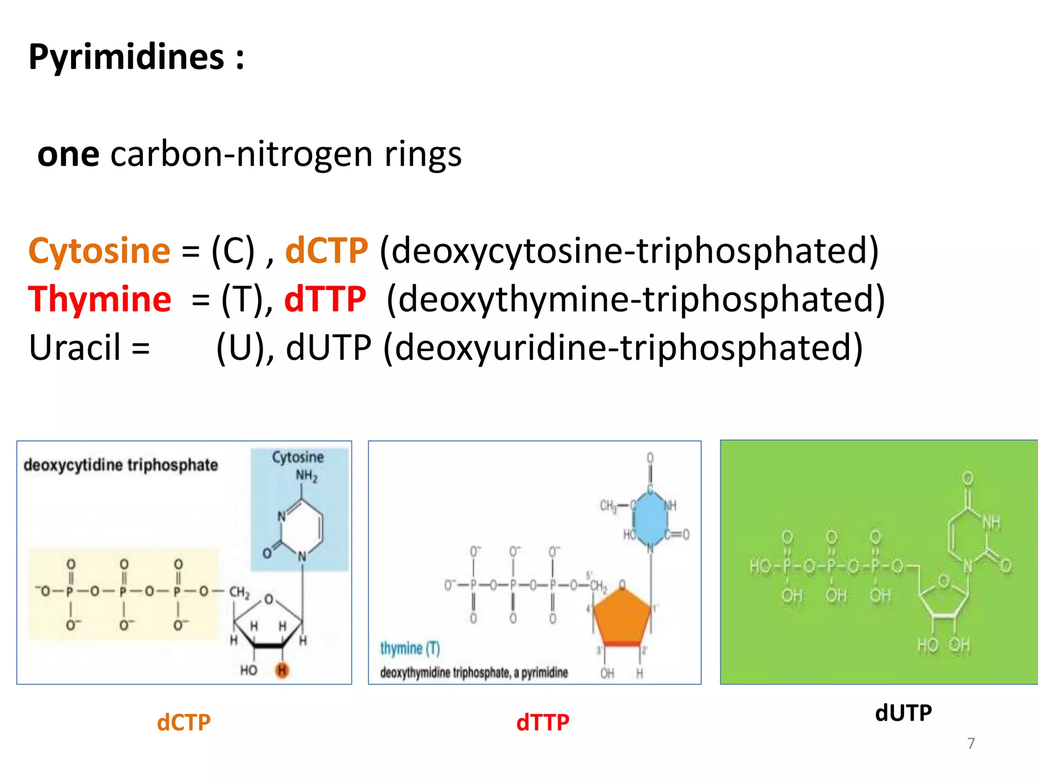 Lecture 1 introduction to nucleic acid,sims 443, 2021 | PPTX