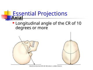 LECTURE 1 INTRODUCTION TO RADIOLOGY.pptx