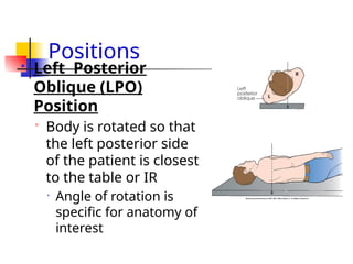 Lpo Radiography LECTURE 1 INTRODUCTION TO RADIOLOGY.pptx