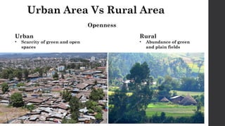 Urban Area Vs Rural Area
Openness
Urban
• Scarcity of green and open
spaces
Rural
• Abundance of green
and plain fields
 