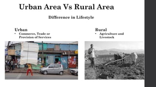 Urban Area Vs Rural Area
Difference in Lifestyle
Urban
• Commerce, Trade or
Provision of Services
Rural
• Agriculture and
Livestock
 