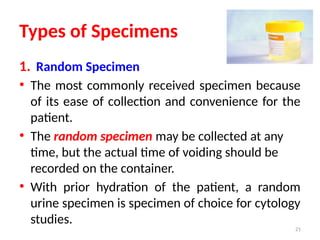 Random Specimen Names LECTURE 1 (Introduction to Urinalysis).pptx